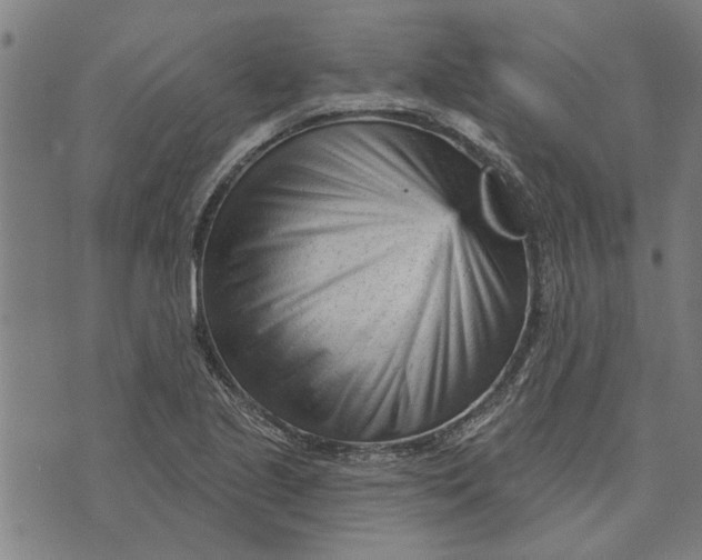 X0000073731221200608241248