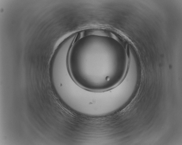 X0000073731222200608241248