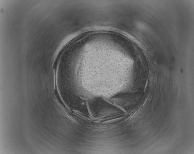 X0000073731223200608241248