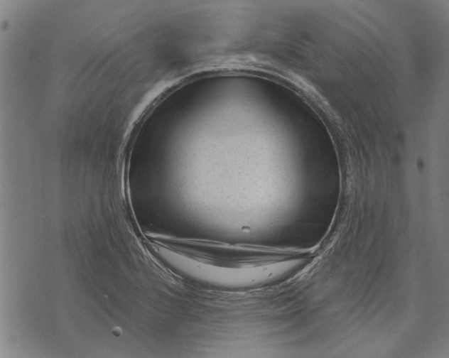 X0000073731224200608241248