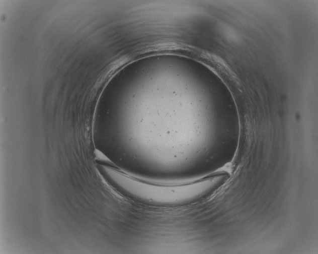 X0000073731225200608241248