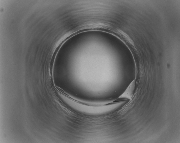 X0000073731226200608241248