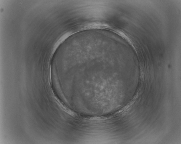 X0000073731227200608241248