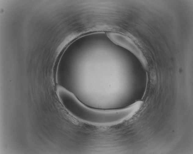 X0000073731230200608241249