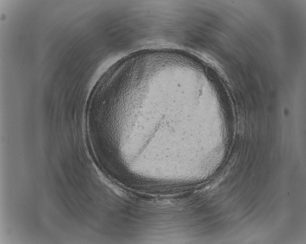 X0000073731231200608241249