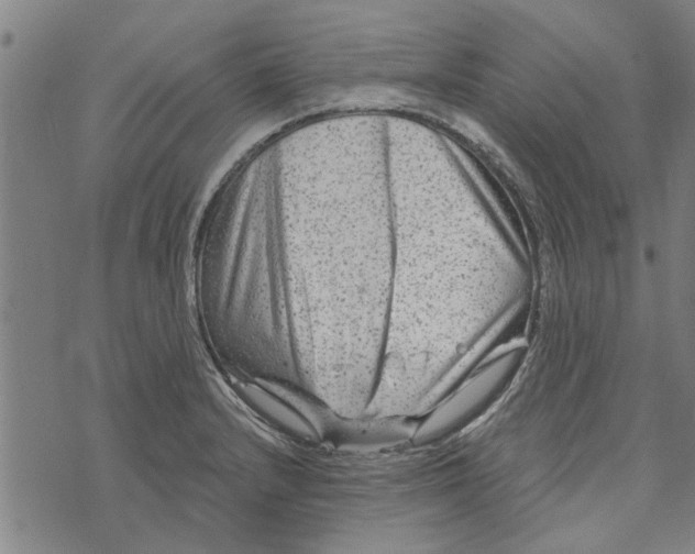 X0000073731232200608241249