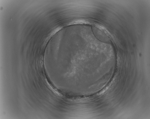 X0000073731233200608241249