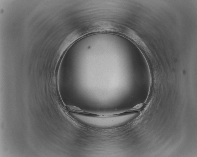 X0000073731234200608241249