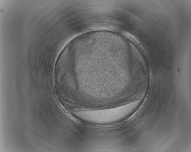 X0000073731236200608241249