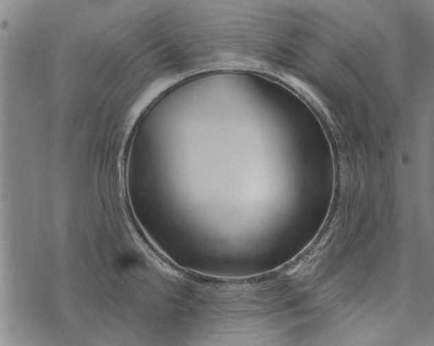 X0000073731238200608241249