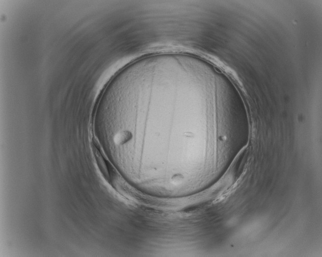 X0000073731239200608241249