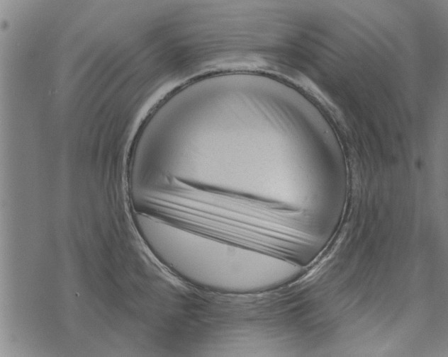 X0000073731240200608241249