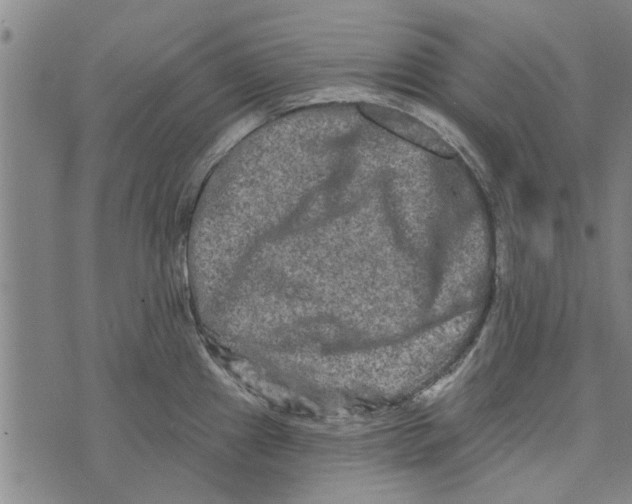 X0000073731241200608241249