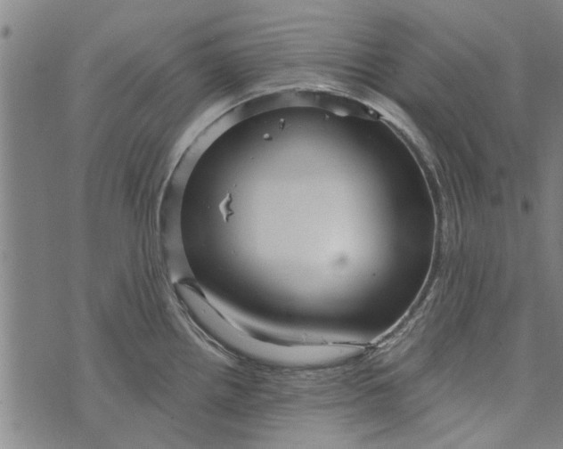 X0000073731242200608241249