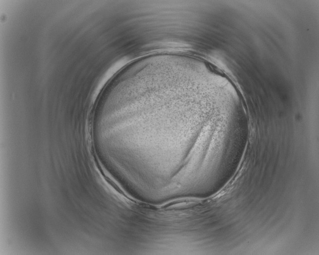 X0000073731243200608241249