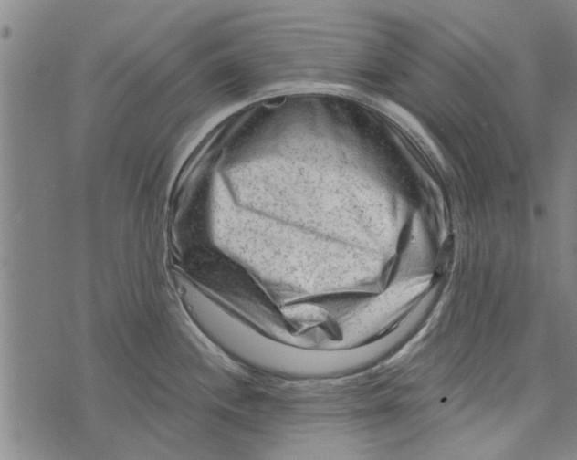 X0000073731244200608241249