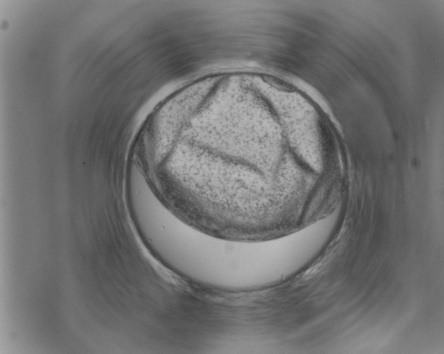 X0000073731245200608241249