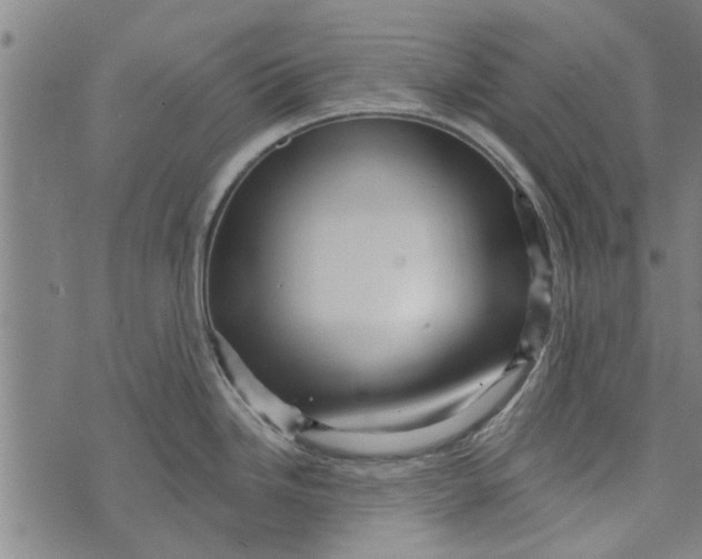 X0000073731246200608241249