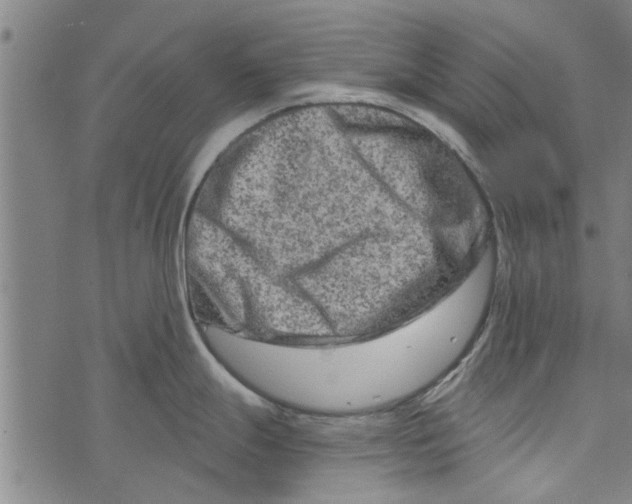 X0000073731247200608241249