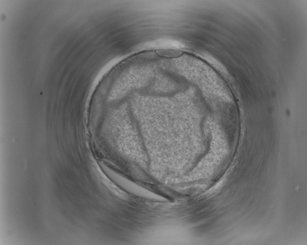 X0000073731248200608241249