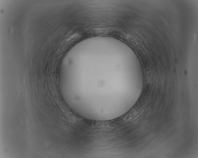 X0000073731249200608241248