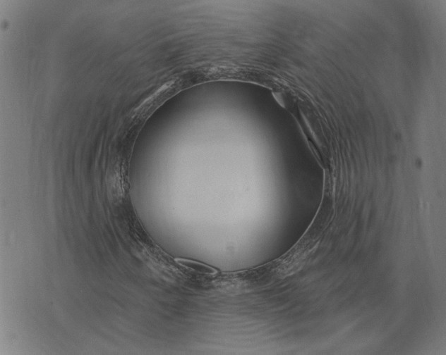 X0000073731250200608241248