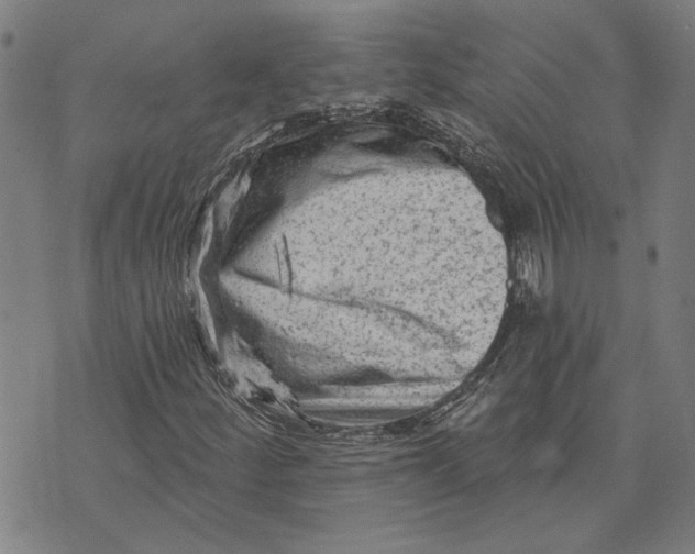 X0000073731252200608241248