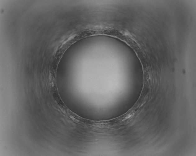 X0000073731253200608241248