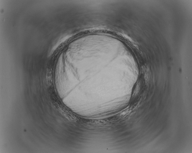 X0000073731255200608241248