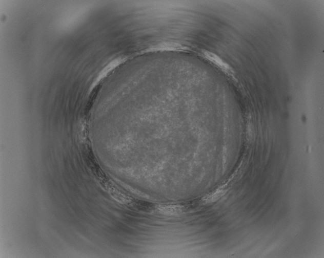 X0000073731258200608241248