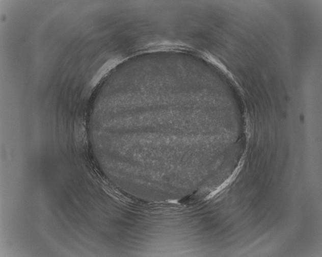 X0000073731259200608241248