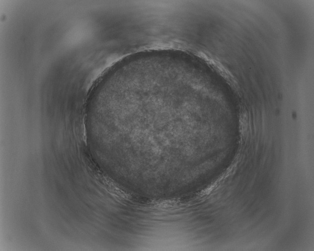 X0000073731262200608241248