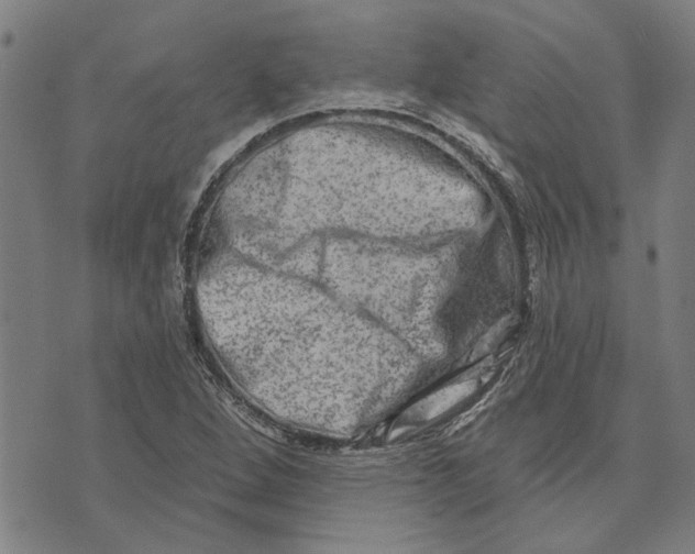 X0000073731264200608241248