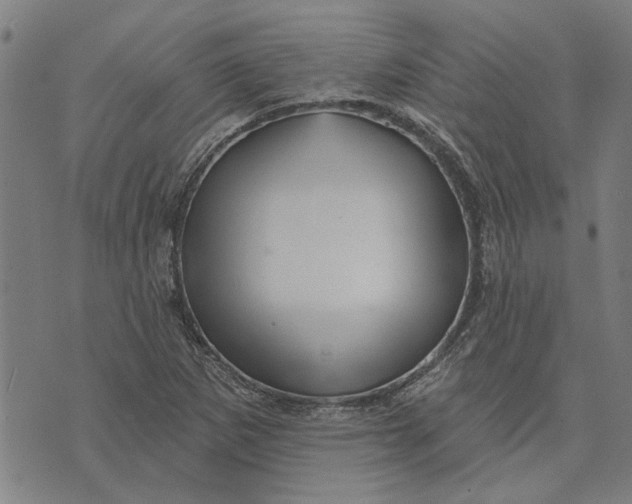 X0000073731265200608241248