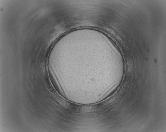 X0000073731266200608241248