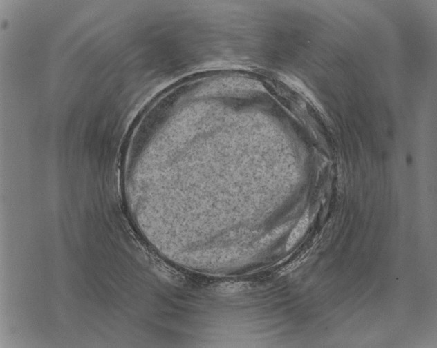 X0000073731268200608241248