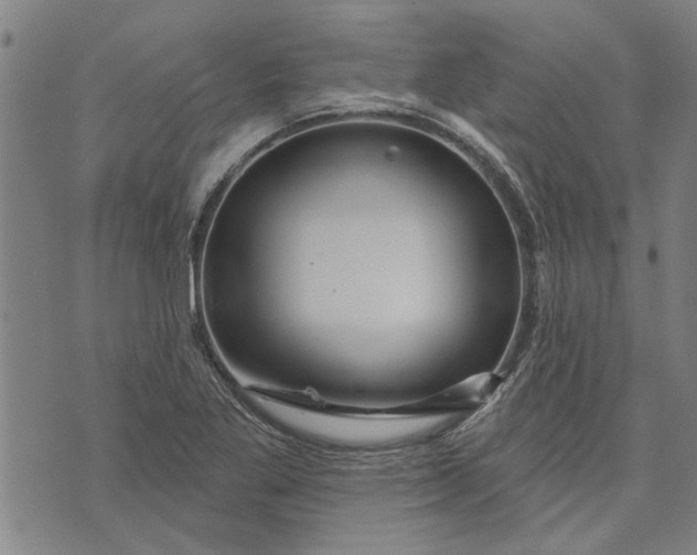 X0000073731269200608241248