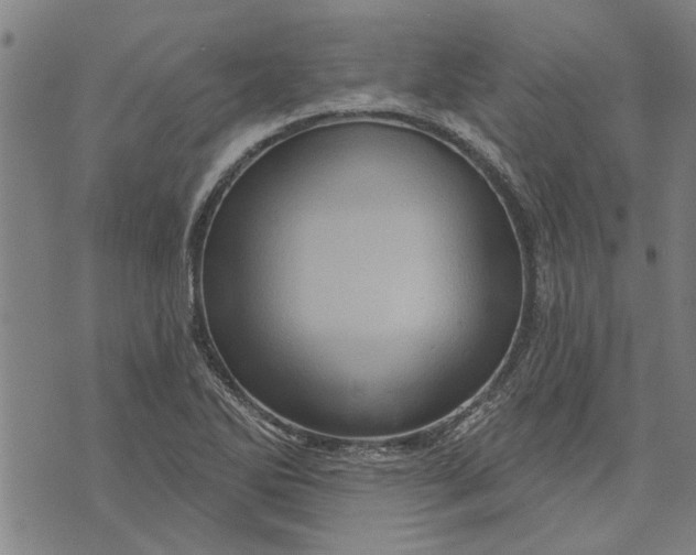 X0000073731270200608241248