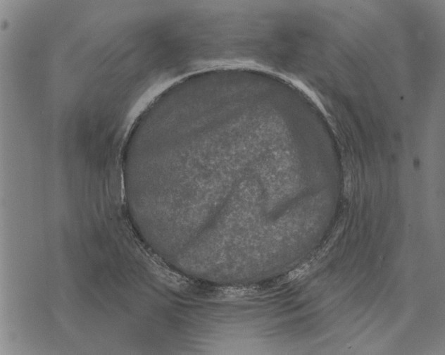 X0000073731271200608241248