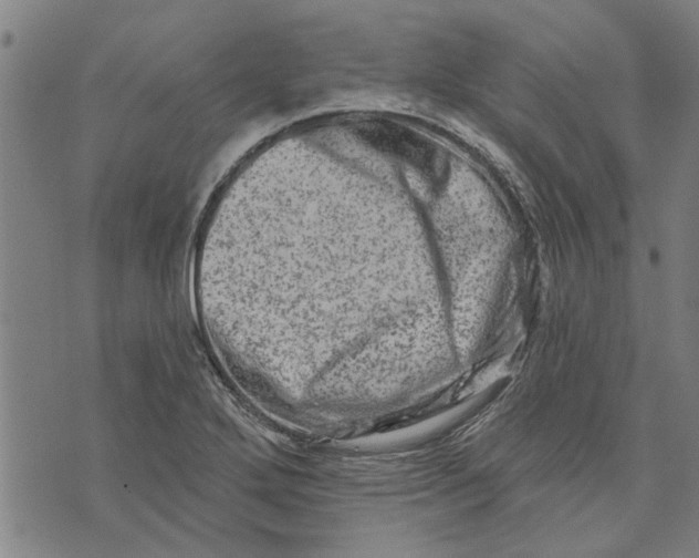 X0000073731272200608241248