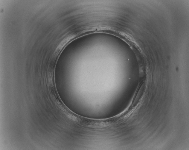 X0000073731273200608241248