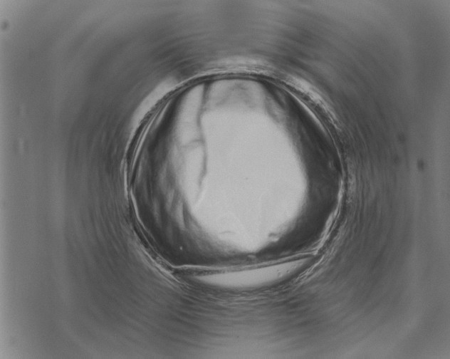 X0000073731275200608241248