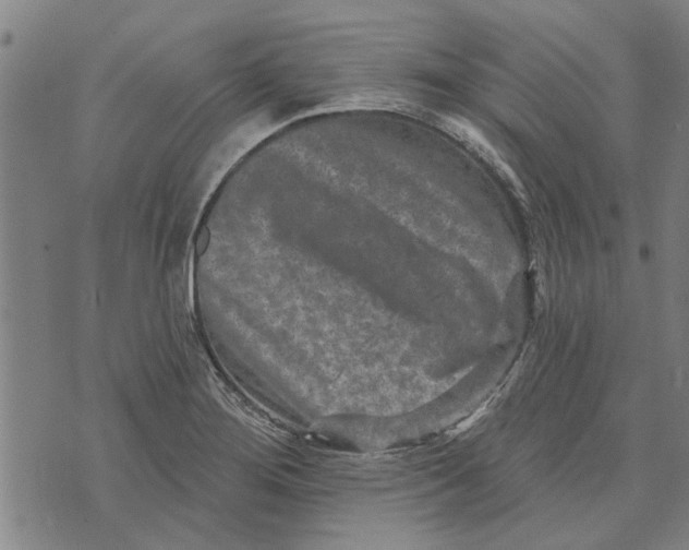 X0000073731276200608241248