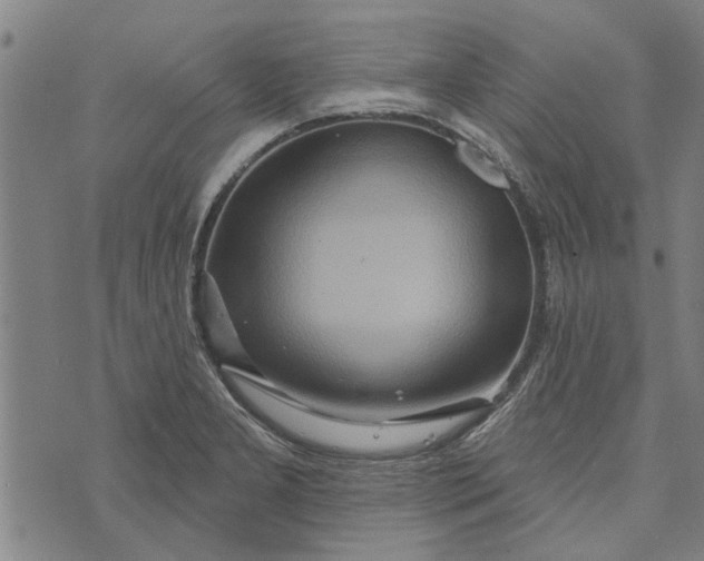 X0000073731277200608241248