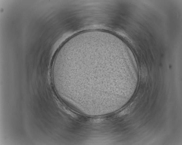 X0000073731278200608241248