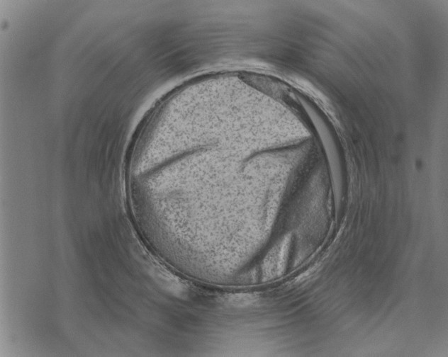 X0000073731280200608241248