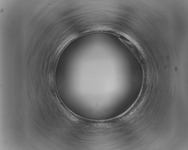 X0000073731281200608241248