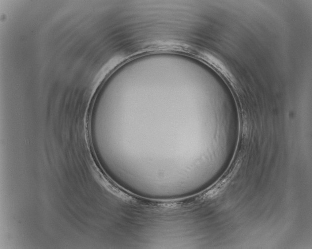 X0000073731283200608241247