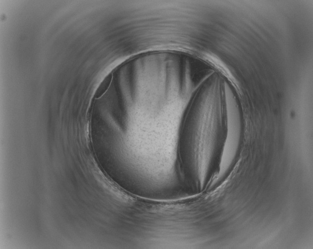 X0000073731284200608241247