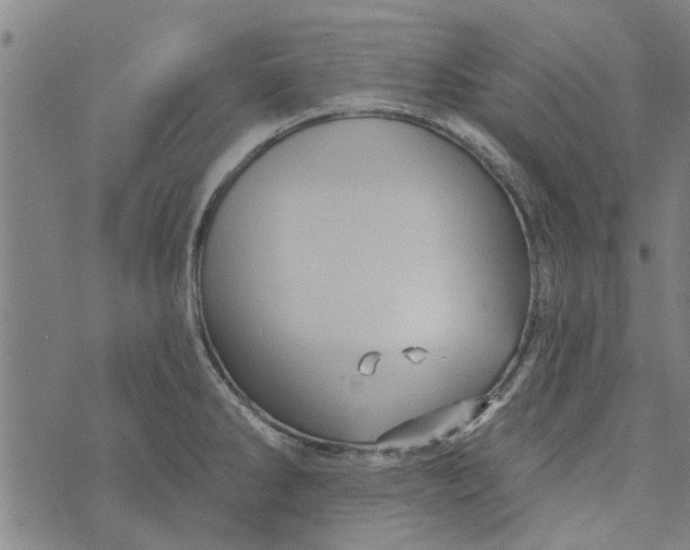 X0000073731286200608241247